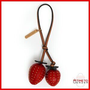 Silver Key Charm with Leather Tassel Bag Accessory 4.75"